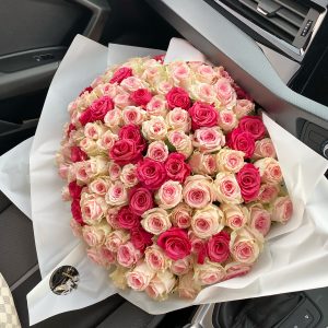 Shades of Pink Rosa
