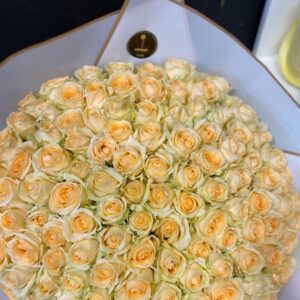 Peach Rosa
