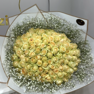 The Star - Peach Rosa