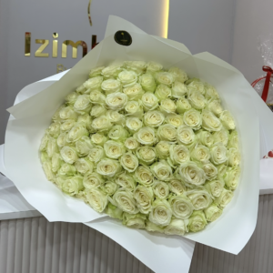 Classic White Rosa (Valentine Day)