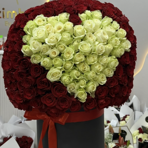 Mi Amor (300 roses)